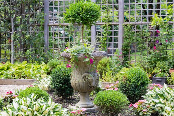 Topiary Pruning in Long Beach
